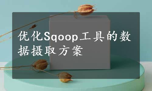 优化Sqoop工具的数据摄取方案