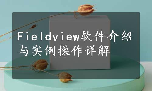 Fieldview软件介绍与实例操作详解