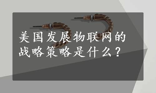 美国发展物联网的战略策略是什么？