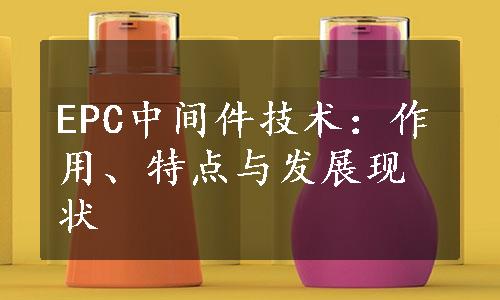 EPC中间件技术：作用、特点与发展现状