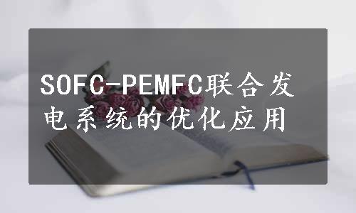 SOFC-PEMFC联合发电系统的优化应用