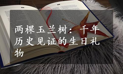 两棵玉兰树：千年历史见证的生日礼物