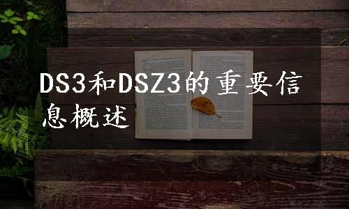 DS3和DSZ3的重要信息概述