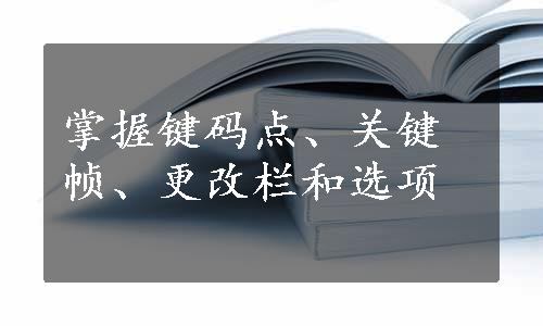 掌握键码点、关键帧、更改栏和选项