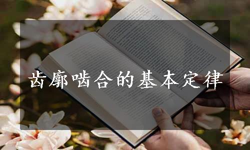 齿廓啮合的基本定律