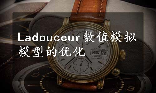 Ladouceur数值模拟模型的优化