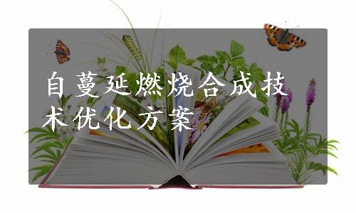 自蔓延燃烧合成技术优化方案