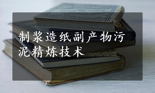 制浆造纸副产物污泥精炼技术