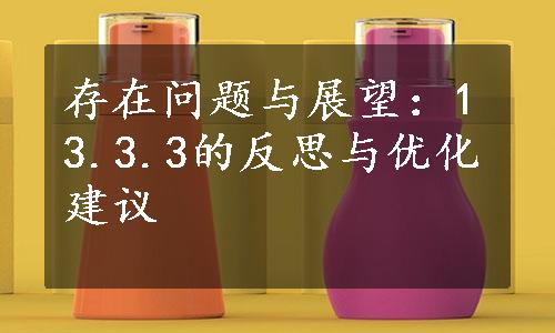 存在问题与展望：13.3.3的反思与优化建议