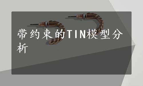 带约束的TIN模型分析