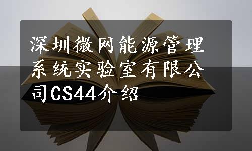 深圳微网能源管理系统实验室有限公司CS44介绍