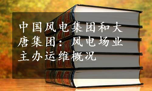 中国风电集团和大唐集团：风电场业主办运维概况