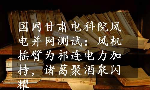 国网甘肃电科院风电并网测试：风机摇臂为祁连电力加持，诸葛聚酒泉闪耀