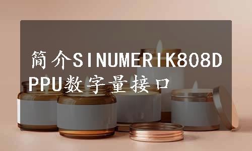 简介SINUMERIK808DPPU数字量接口