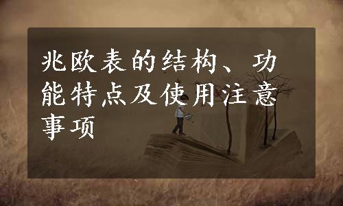 兆欧表的结构、功能特点及使用注意事项