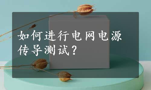 如何进行电网电源传导测试？