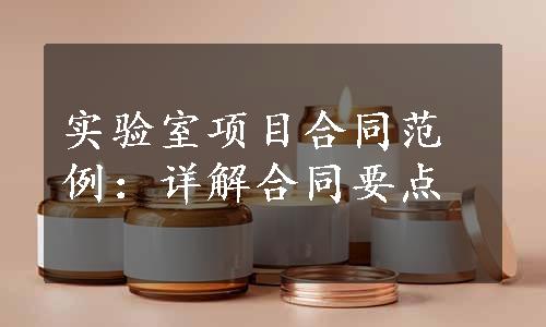 实验室项目合同范例：详解合同要点