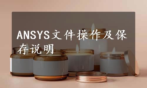 ANSYS文件操作及保存说明