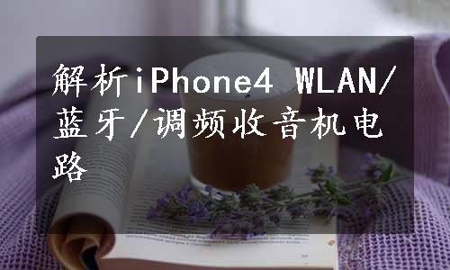 解析iPhone4 WLAN/蓝牙/调频收音机电路