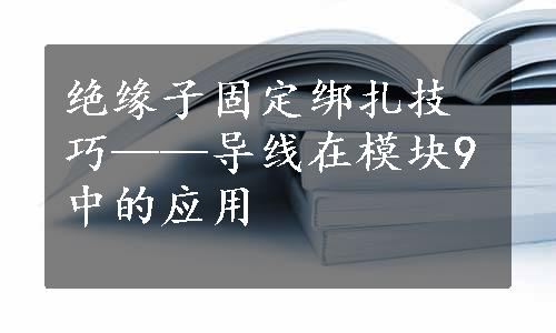 绝缘子固定绑扎技巧——导线在模块9中的应用