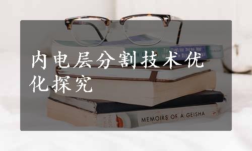 内电层分割技术优化探究