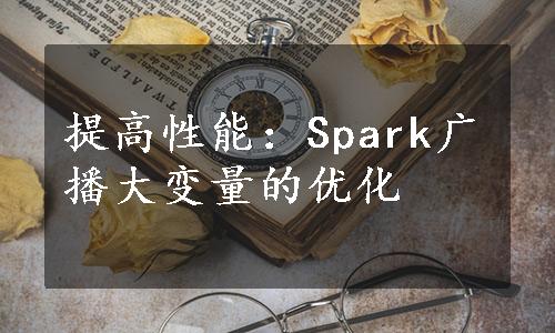 提高性能：Spark广播大变量的优化