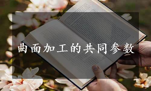 曲面加工的共同参数