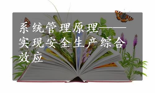 系统管理原理——实现安全生产综合效应