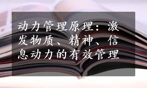 动力管理原理：激发物质、精神、信息动力的有效管理