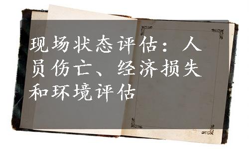 现场状态评估：人员伤亡、经济损失和环境评估