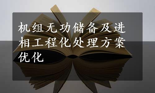 机组无功储备及进相工程化处理方案优化