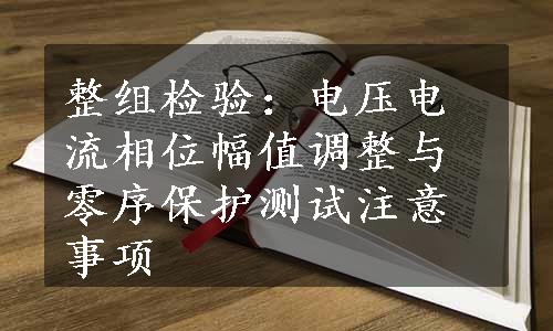 整组检验：电压电流相位幅值调整与零序保护测试注意事项