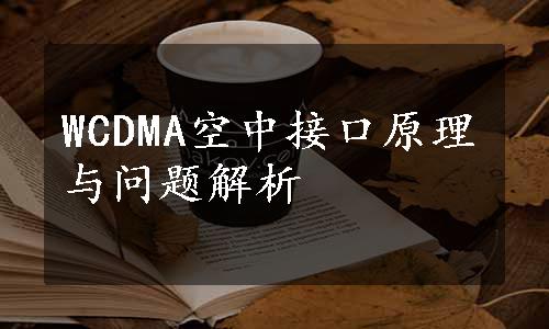 WCDMA空中接口原理与问题解析