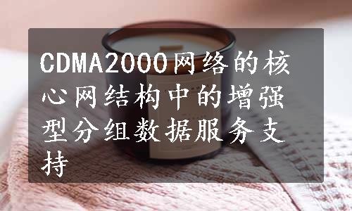 CDMA2000网络的核心网结构中的增强型分组数据服务支持