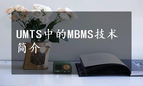 UMTS中的MBMS技术简介