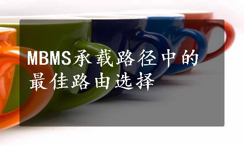 MBMS承载路径中的最佳路由选择