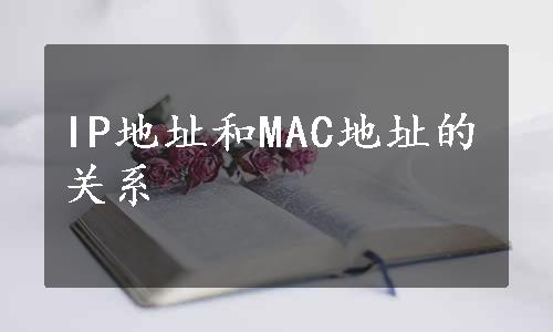 IP地址和MAC地址的关系