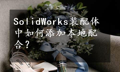 SolidWorks装配体中如何添加本地配合？