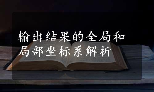 输出结果的全局和局部坐标系解析