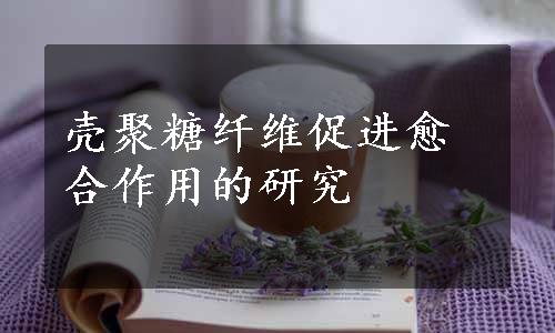 壳聚糖纤维促进愈合作用的研究