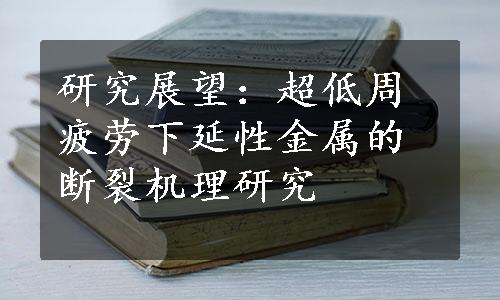 研究展望：超低周疲劳下延性金属的断裂机理研究