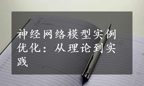 神经网络模型实例优化：从理论到实践