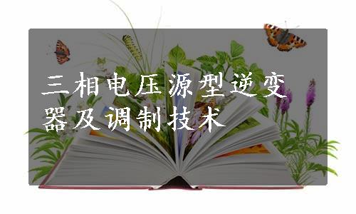 三相电压源型逆变器及调制技术