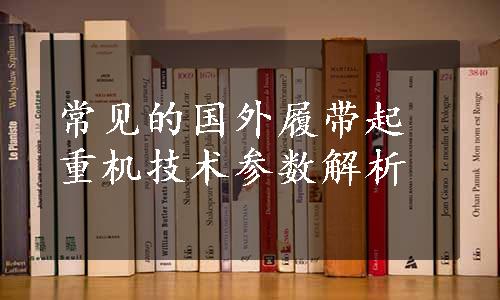 常见的国外履带起重机技术参数解析