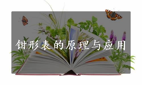 钳形表的原理与应用