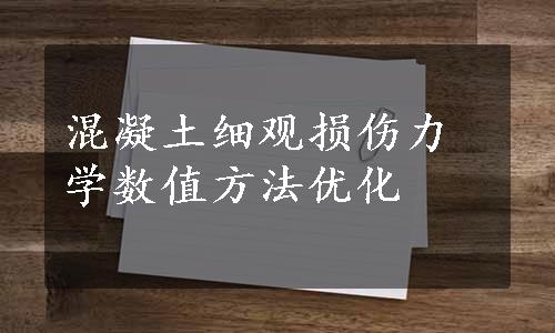 混凝土细观损伤力学数值方法优化