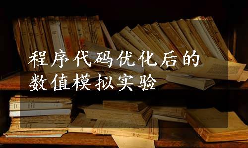 程序代码优化后的数值模拟实验