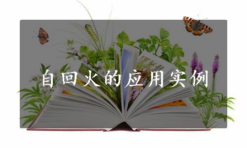 自回火的应用实例