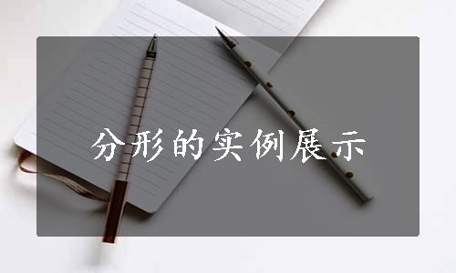 分形的实例展示