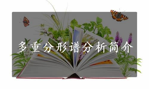 多重分形谱分析简介